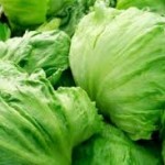 Iceberg lettuce